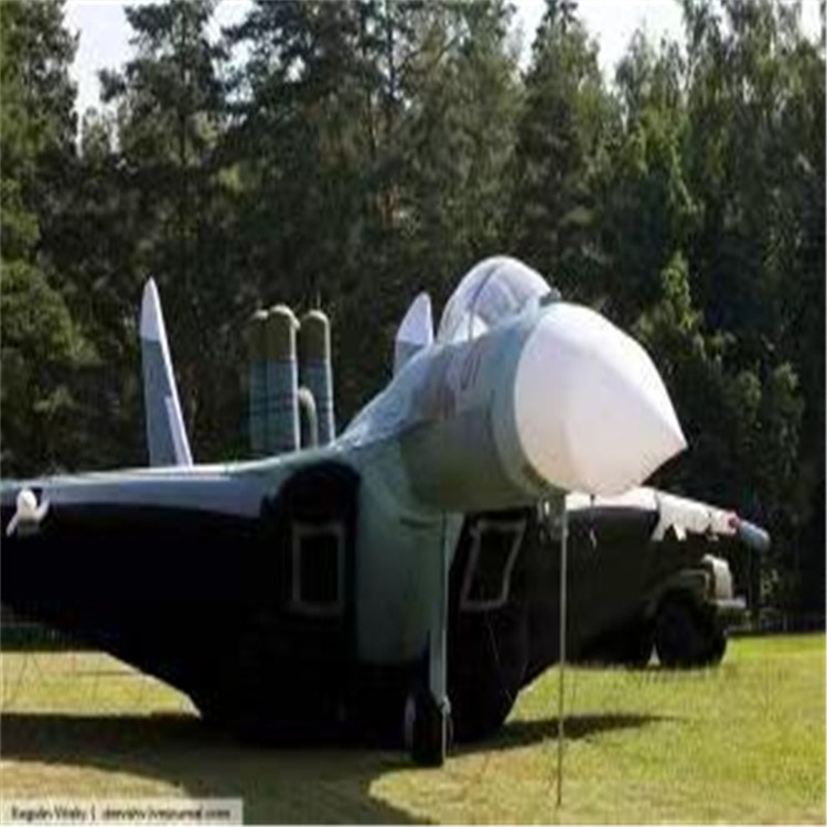 武山充气模型飞机制造商家